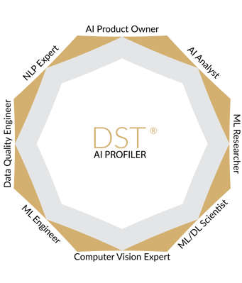 DST-AI-profiler