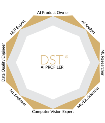 DST-AI-profiler DST-AI-profiler